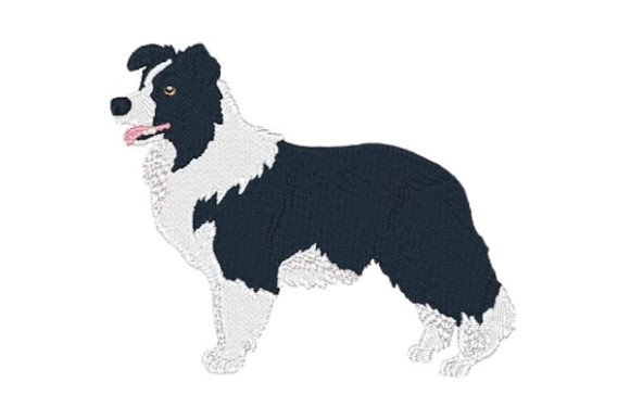 Charming Border Collie-0410 for Holiday Embroidery