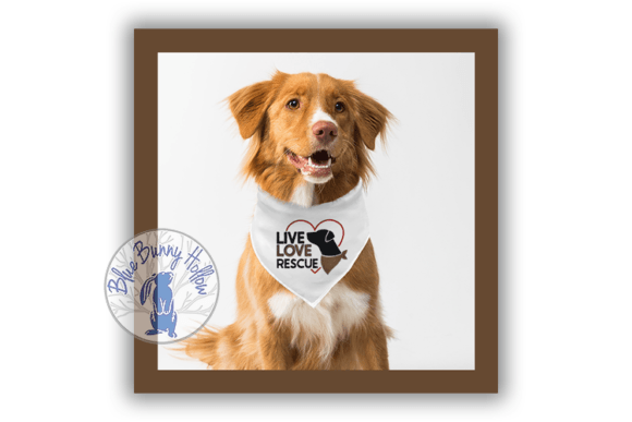 Live Love Rescue: A Perfect Fit for Cozy Sweatshirts